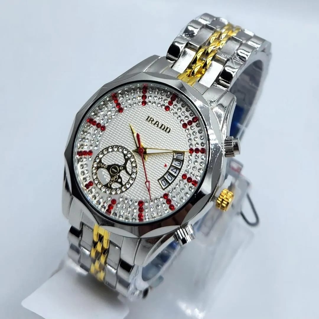 IRADD Luxury Two-Tone Men's Watch